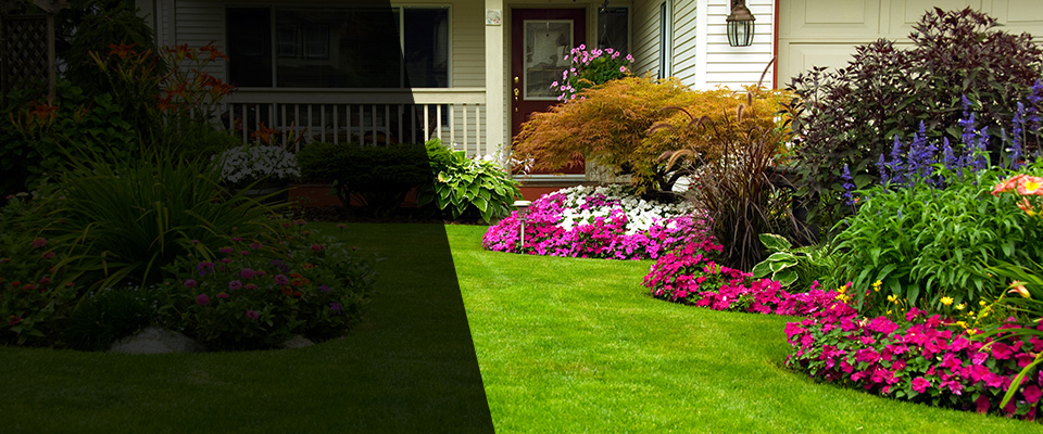 Palmyra Landscapers